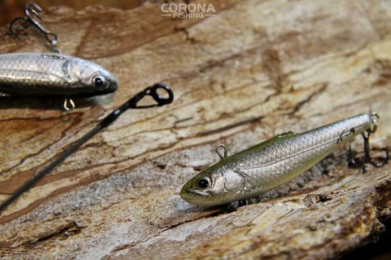 wobler bezsterowy vertykalny na bolenia